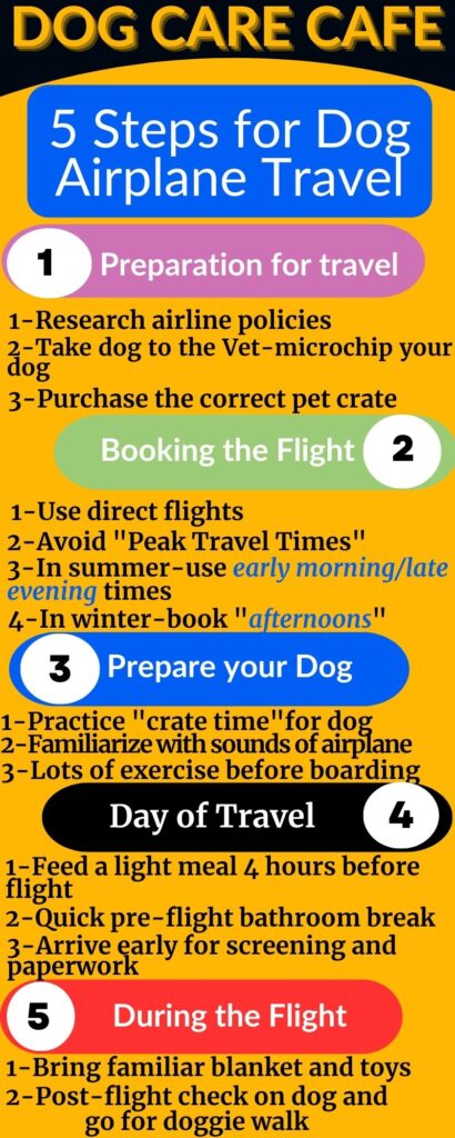 How to prepare your dog for air travel