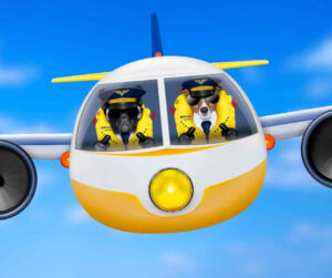 2 dogs piloting an airplane